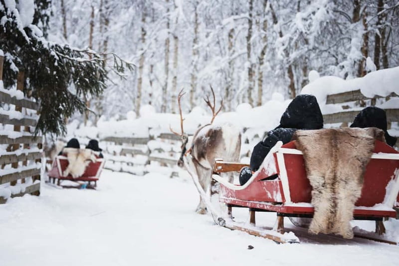 Rovaniemi: Reindeer, Huskies & Santa Claus Village - What the six-hour day looks like