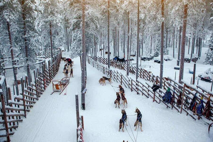 Rovaniemi: Reindeer & Husky Ride with Santa Claus Village - Meeting the reindeer on a 500-meter sleigh ride