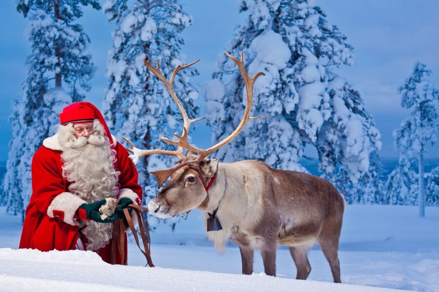 Rovaniemi: Santa Claus Village and Arctic Circle - Reindeer, with a seasonal catch