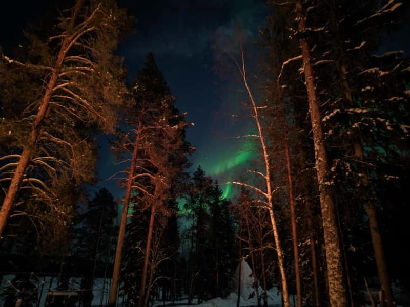 Rovaniemi:Santa Claus Village Guided Tour with Santa's gift - A four-hour Christmas outing from Rovaniemi