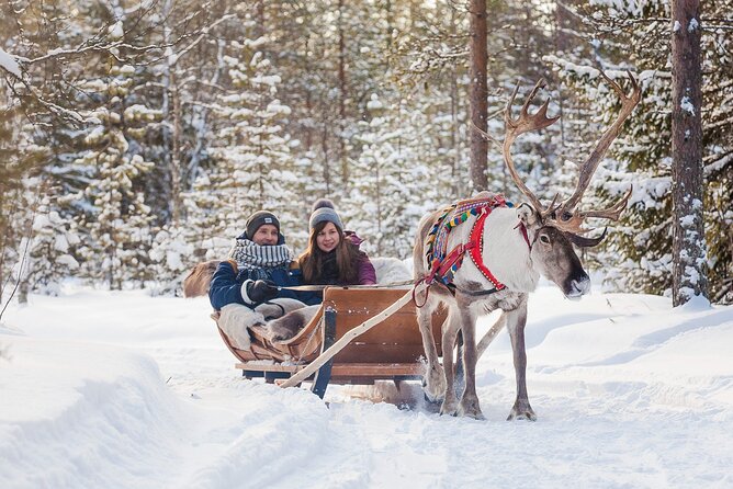 Rovaniemi Santa Claus Village Husky and Reindeer Tour VIP VAN - Timing, meals, and the shape of the day