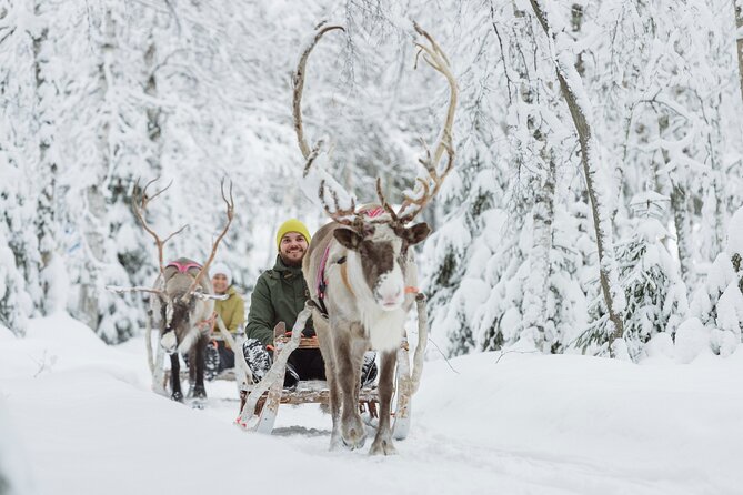Rovaniemi Santa Claus Village Husky and Reindeer Tour VIP VAN - Who will enjoy this most?