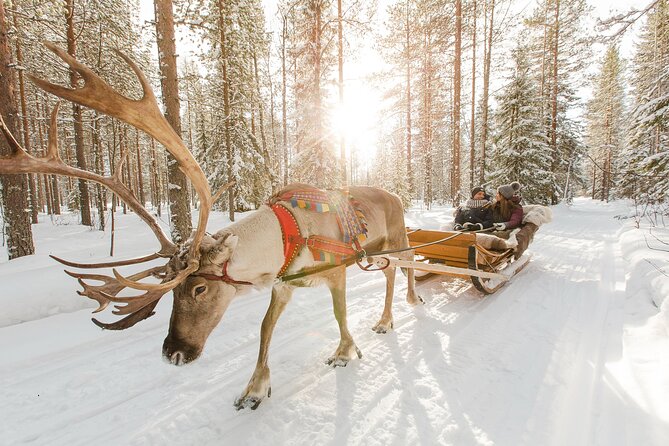 Rovaniemi Santa Claus Village Husky and Reindeer Tour VIP VAN - Three hours at Santa Claus Village