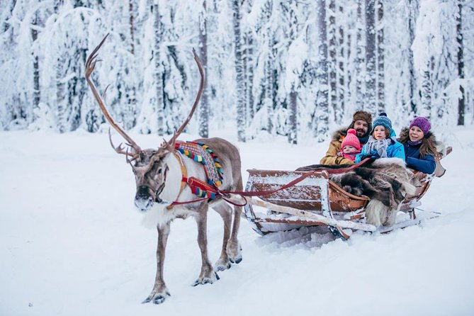 Rovaniemi Santa Claus Village Husky Reindeer Farm Arctic Museum - Santa Claus Village is magical, commercial, and time-sensitive