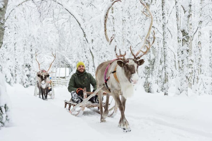 Rovaniemi: Santa Claus Village + Husky & Reindeer Sled Ride - Starting with Santa Claus Village inside the Arctic Circle