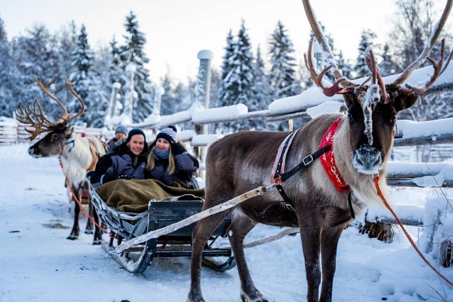 Rovaniemi: Santa Claus Village + Husky & Reindeer Sled Ride - Who will enjoy this Rovaniemi tour most?