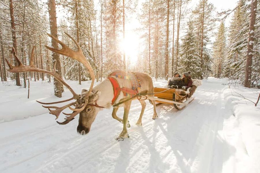 Rovaniemi: Santa Claus Village + Husky & Reindeer Sled Ride - Arriving at Santa Claus Village inside the Arctic Circle