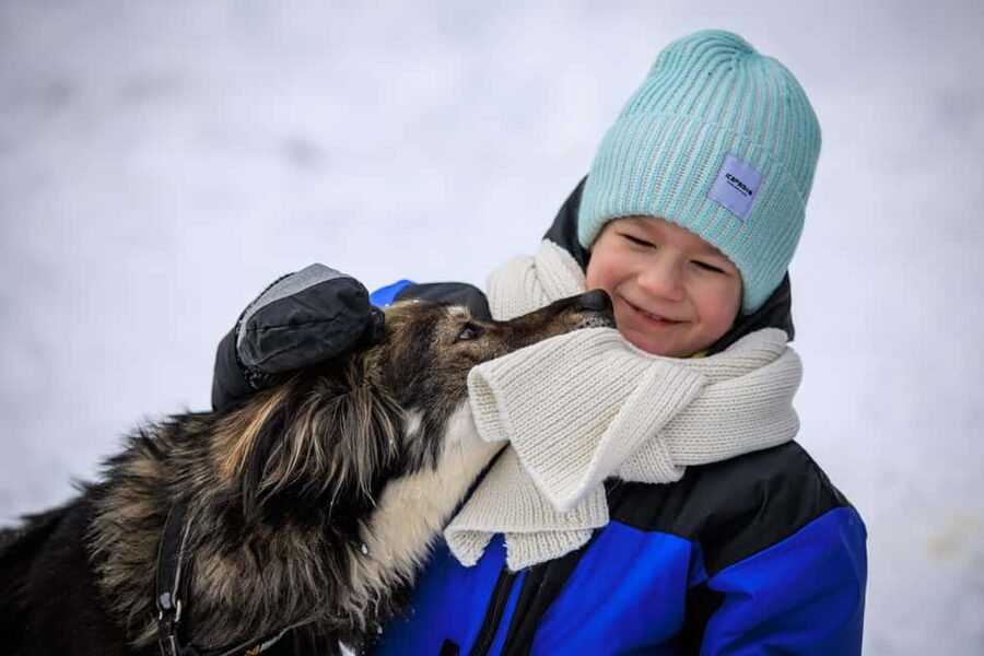 Rovaniemi: Santa Claus Village, Husky & Reindeer Tour - A gentle reindeer sleigh for younger children