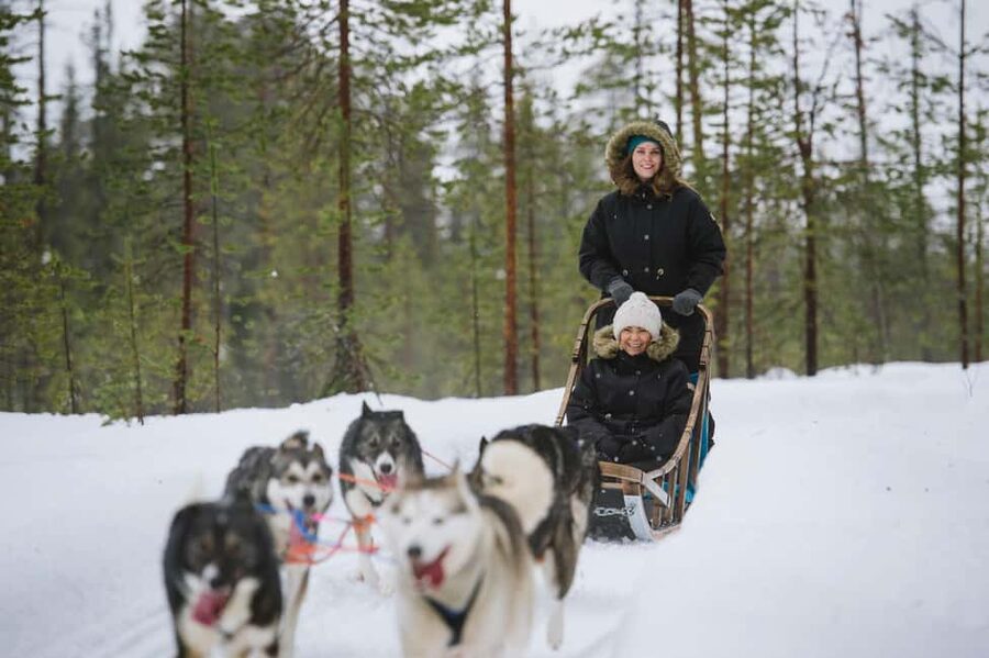 Rovaniemi: Santa Claus Village, Husky & Reindeer Tour - Meeting point and getting ready