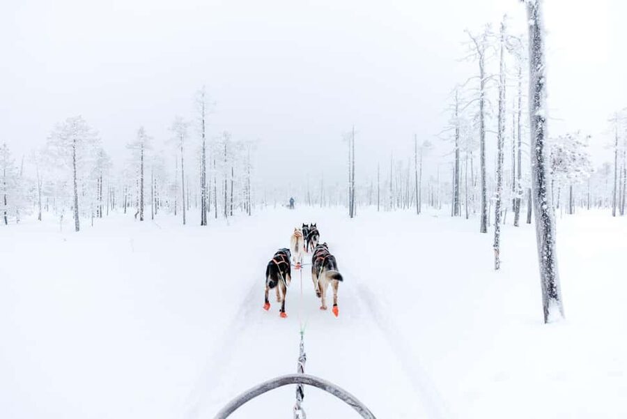 Rovaniemi: Santa Claus Village, Husky & Reindeer Tour - How the price compares with the experience