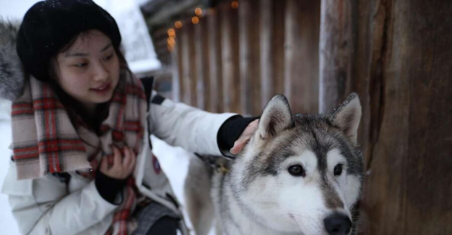 Rovaniemi: Santa Claus Village Tour Huskies & Reindeer Visit - A half-day route from Rovaniemi to Santa Claus Village
