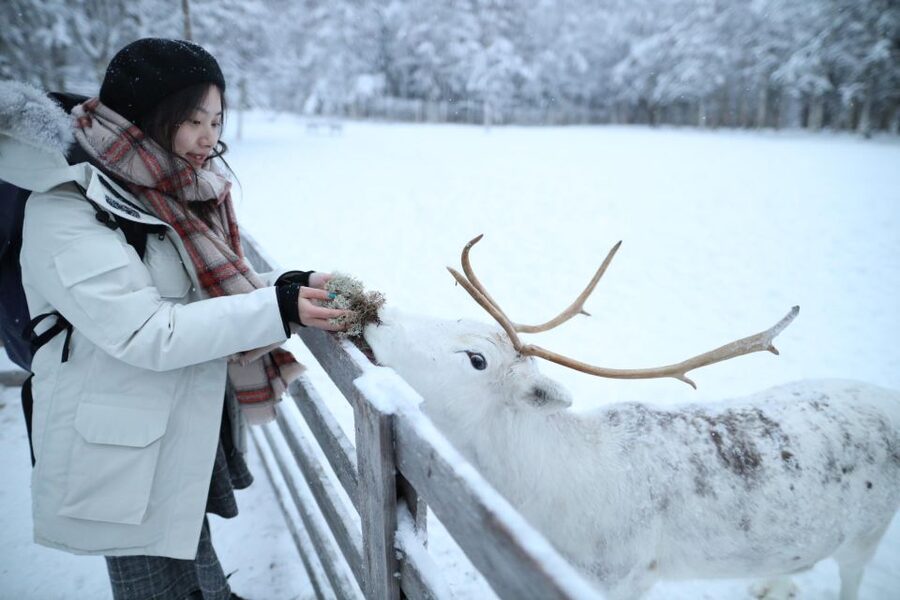 Rovaniemi: Santa Claus Village Tour Huskies & Reindeer Visit - Should you book this Rovaniemi tour?