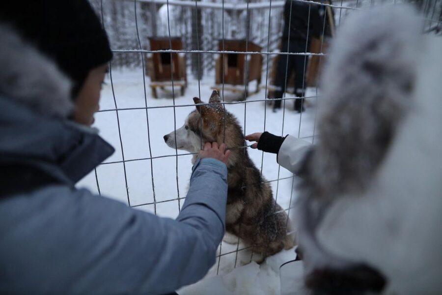 Rovaniemi: Santa Claus Village Tour Huskies & Reindeer Visit - Meeting Santa and crossing the Arctic Circle