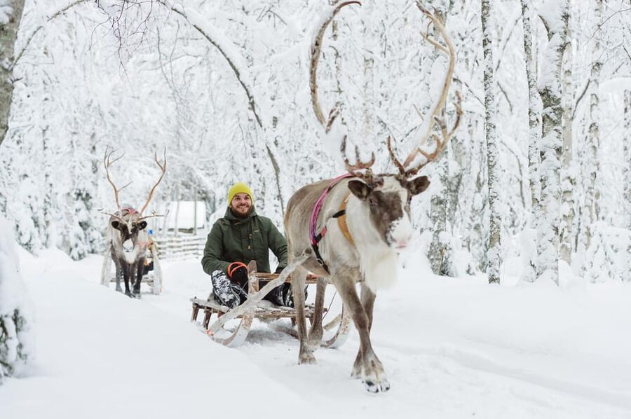 Rovaniemi: Santa's Village, Husky, & Reindeer Sled Ride - Reindeer sledding offers a gentler Arctic moment