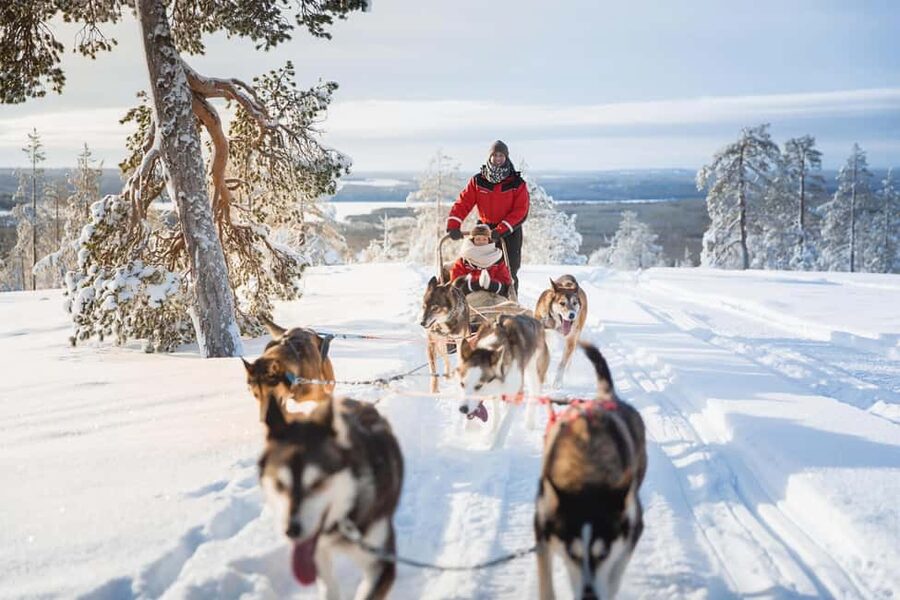 Rovaniemi: Santa Village,2km Husky Sled Ride & Snowman World - Three hours for Snowman World and Santa Claus Village
