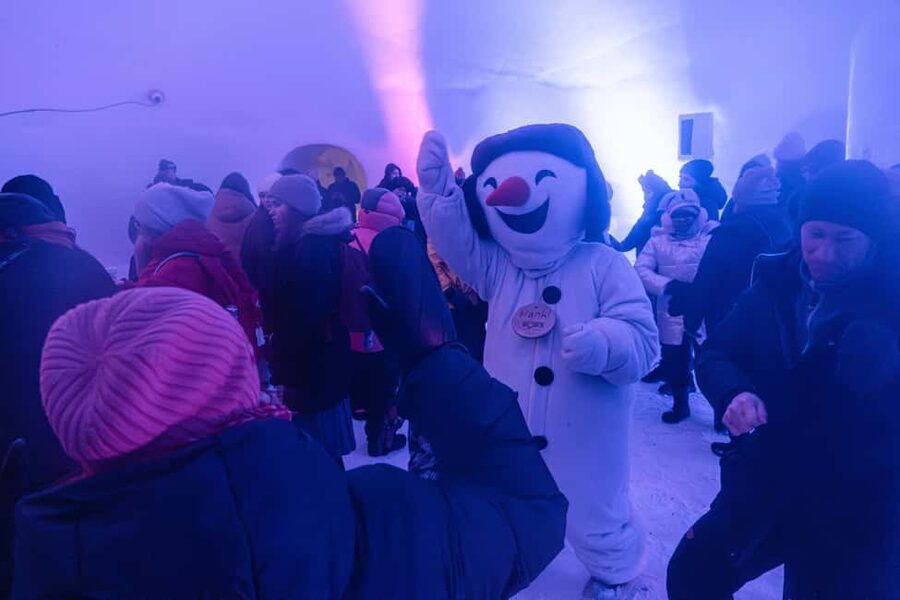 Rovaniemi: Snowman World Entry Ticket in Santa Claus Village - Is the $41 ticket good value?