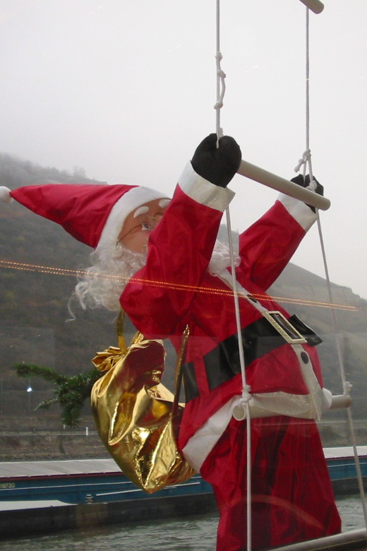 Rüdesheim am Rhein: Christmas Boat Cruise on the Rhine - Cruising the Rhine from Rüdesheim