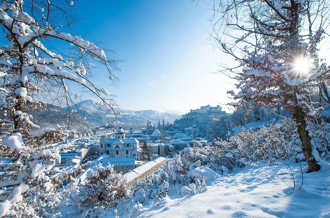 Salzburg Christmas Eve Tour to the Silent Night Chapel - Who should book this Christmas Eve tour?