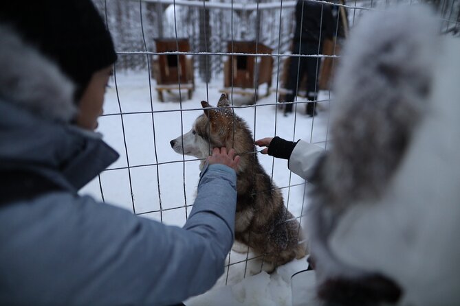 Santa Claus Village, Husky and Reindeers Combo Safari - What this Rovaniemi combo tour really offers