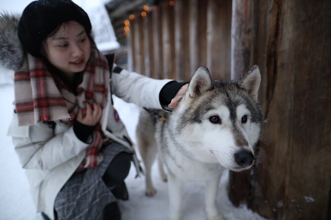 Santa Claus Village, Husky and Reindeers Combo Safari - Timing, transport, and the four-hour schedule