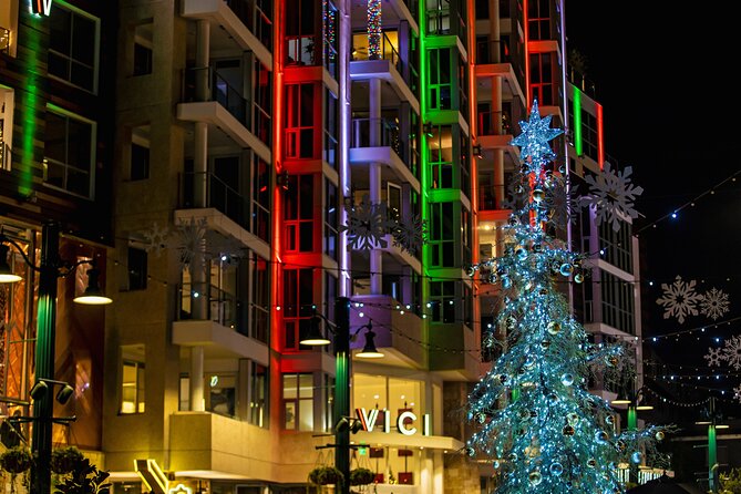 Savannah Holiday Sights and Festive Nights Trolley Tour - Departing from 250 Martin Luther King Jr. Boulevard
