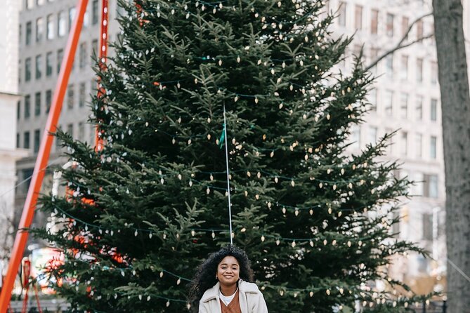 St. Louis Private Christmas Spectacular Tour - A short route through downtown St. Louis