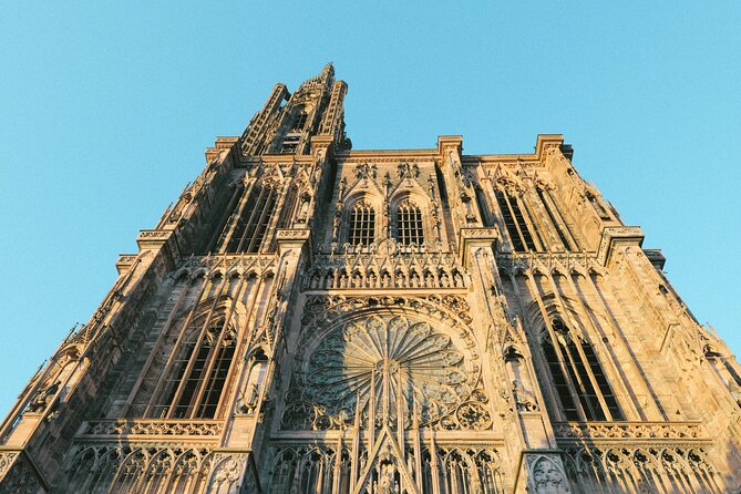 Taste, Stroll & Discover Strasbourg’s Christmas Magic - Timing, meeting points, and practical planning