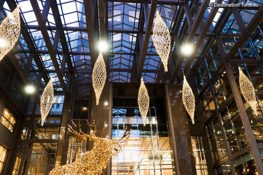 Toronto: Festive Lights Bus Tour - What the $36 price includes