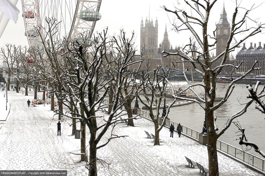 Tour of London and Christmas Day Lunch Cruise - Who will enjoy this Christmas Day tour