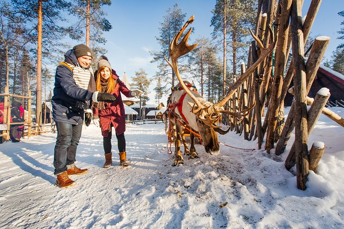 Trip to Arctic Circle, Santa Claus Village and Santas Reindeer - Timing, weather, and family comfort