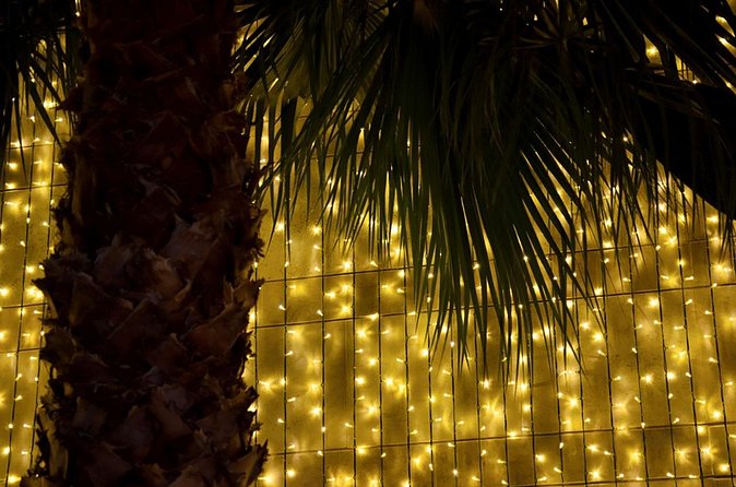 Tuk Tuk Funchal Magic Christmas Lights - What the private price means for two people