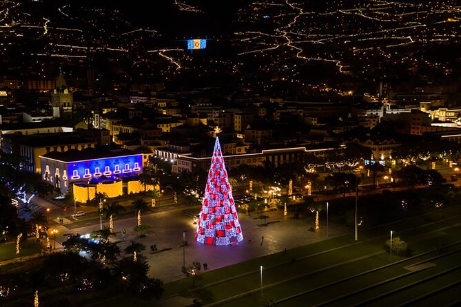 Tuk Tuk Funchal Magic Christmas Lights - Comfort, timing, and practical limits