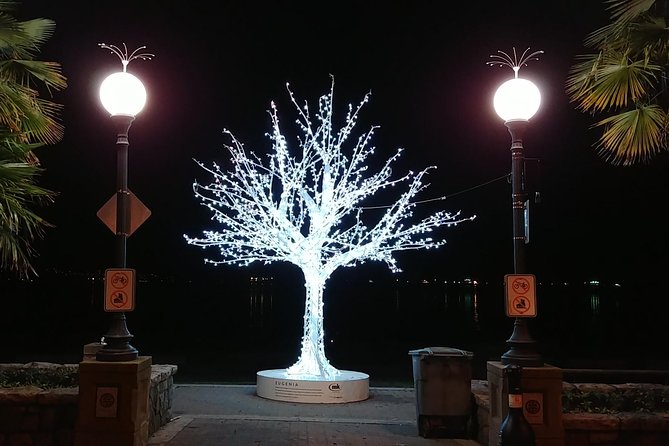 Vancouver Christmas Festival of Lights - The optional Harry Potter experience and ticket math