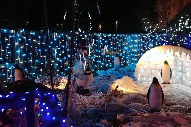 Vancouver Christmas Festival of Lights - Private transport is the central convenience