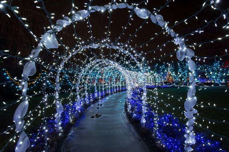 Vancouver: Christmas Lights Karaoke Trolley Tour - Stanley Park: a promising first stop with one practical snag