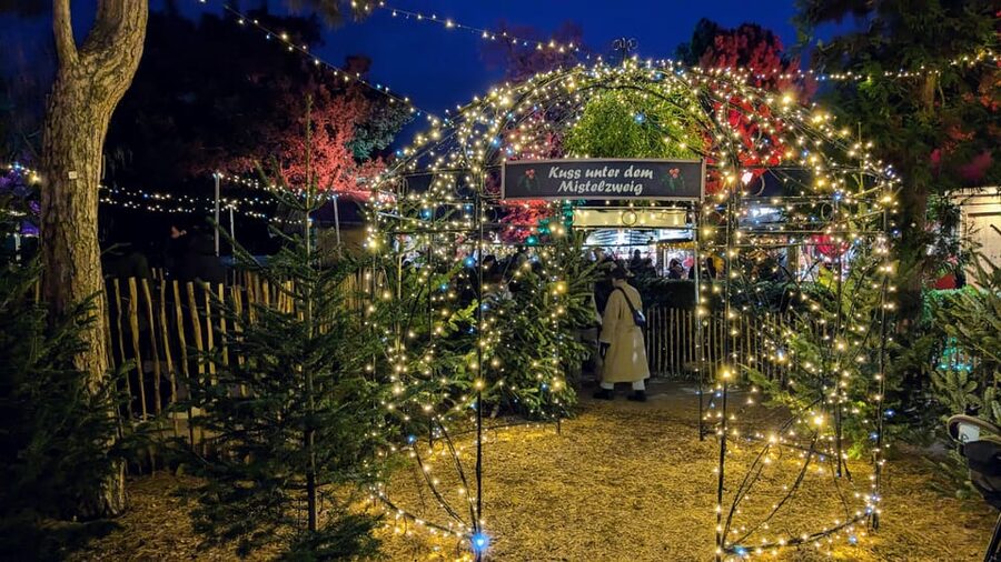 Vienna: Christmas Market Food and Drinks Tour - Gloria’s role as a local guide