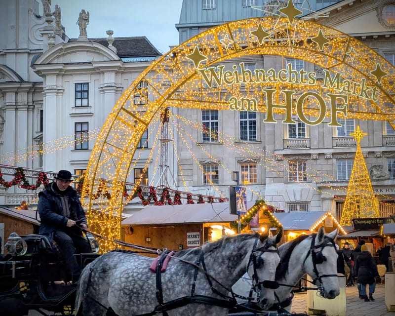 Vienna: Christmas Market Food and Drinks Tour - Who will get the most from this tour
