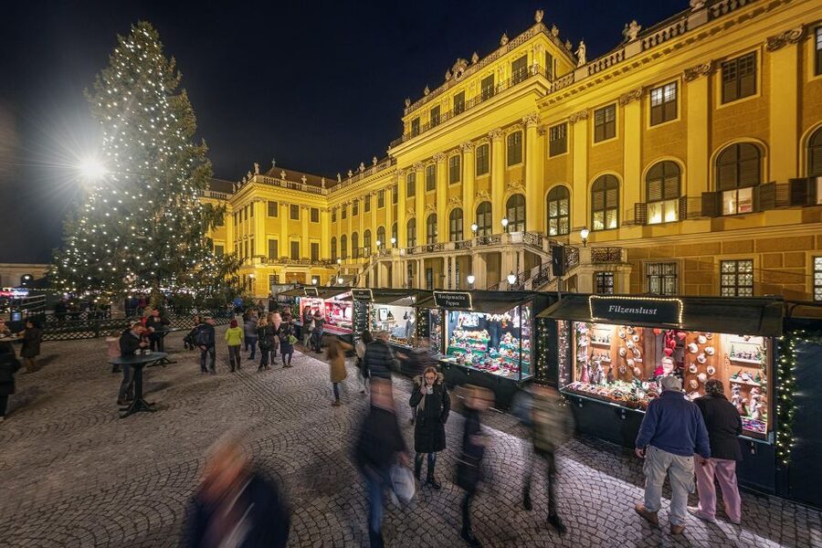 Vienna: Schönbrunn Palace & Christmas Market Walking Tour - Imperial rooms and Habsburg family stories