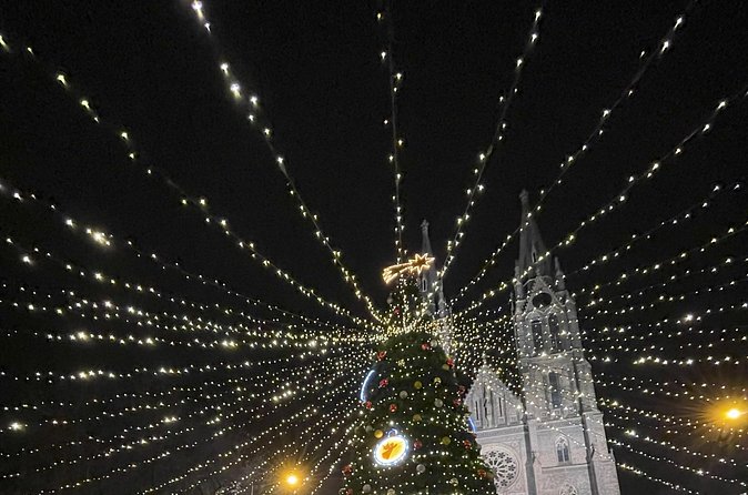 Walking tour in Prague Christmas Market and Festivities - Booking timing, cancellations, and practical details