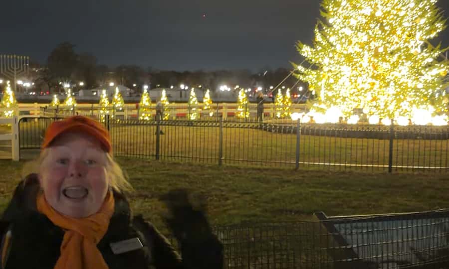 Washington, DC: Christmas Tree & Holiday Lights Bus Tour - Key points at a glance