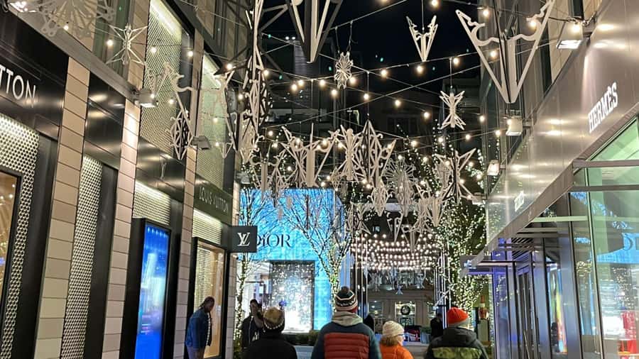 Washington, DC: Christmas Tree & Holiday Lights Bus Tour - The guide and the value of live commentary