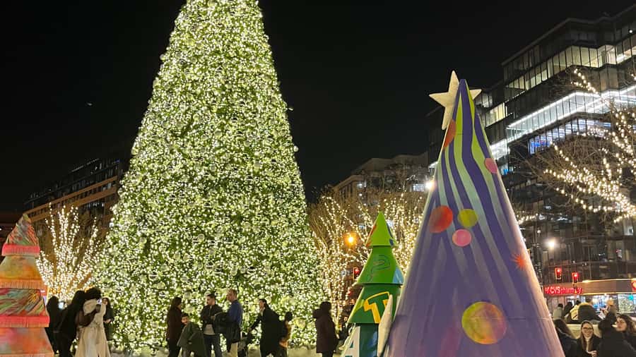 Washington, DC: Christmas Tree & Holiday Lights Bus Tour - The National Christmas Tree and Pathway of Peace