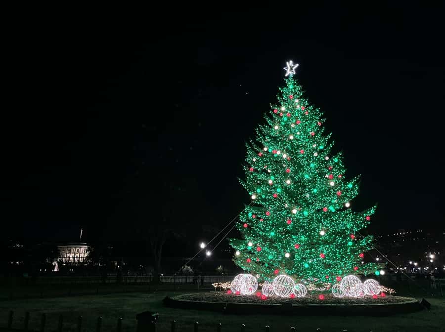 Washington, DC: Christmas Tree & Holiday Lights Bus Tour - Inside the Willard Hotel