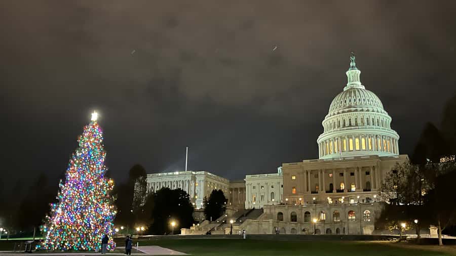 Washington, DC: Christmas Tree & Holiday Lights Bus Tour - CityCenterDC and Palmer Alley