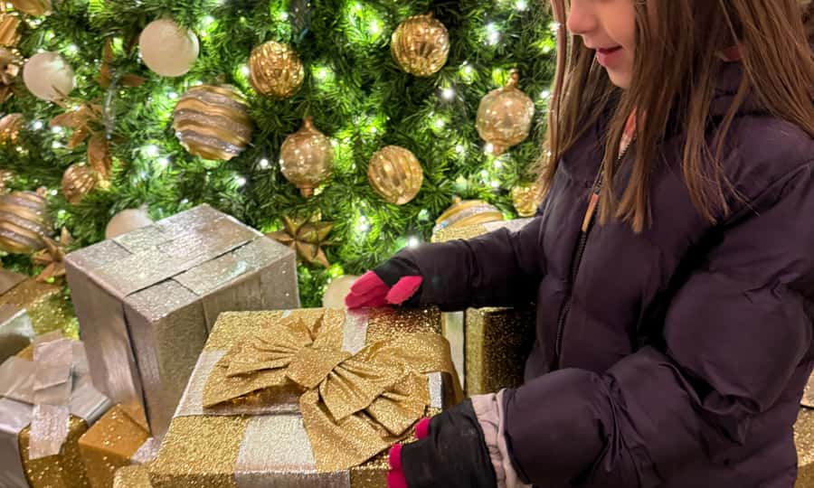 Washington, DC: Christmas Tree & Holiday Lights Bus Tour - Starting near the Willard Hotel