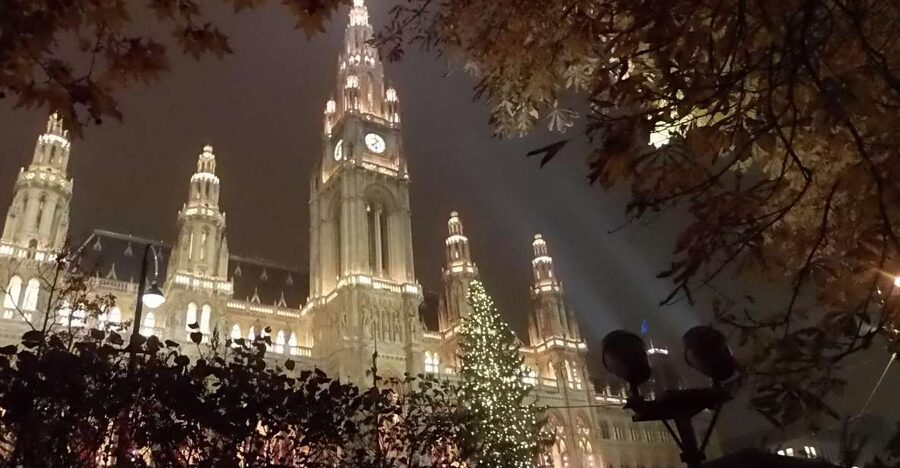 Wien: Tour with locals on the trails of the Christmas Tree - Walking through Vienna’s historic center