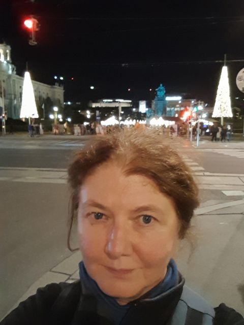 Wien: Tour with locals on the trails of the Christmas Tree - The Albertina stop and grand city views