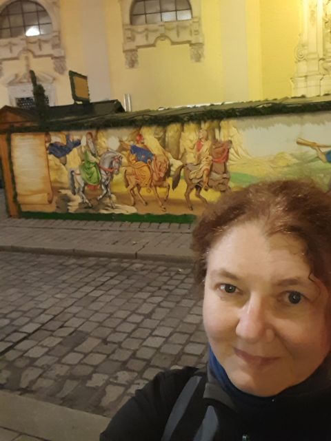 Wien: Tour with locals on the trails of the Christmas Tree - Rathausplatz and Vienna’s Advent atmosphere