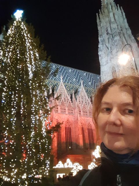 Wien: Tour with locals on the trails of the Christmas Tree - How much history should you expect?