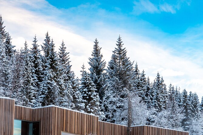 Winter Combo Godafoss Christmas House and The Forest Lagoon - Why the $161.35 price can make sense